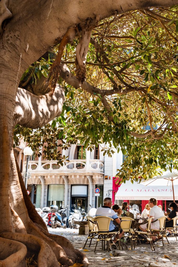 LaMalvasiaMallorca_98